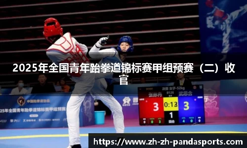 2025年全国青年跆拳道锦标赛甲组预赛（二）收官
